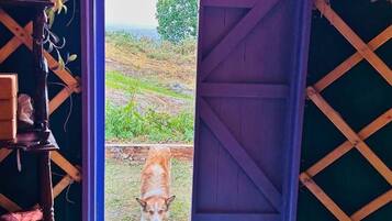 Room, 1 Bedroom, Smoking, Terrace | Interior