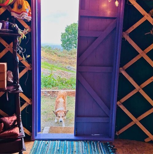 Room-a Magical Cosy Garden Yurt