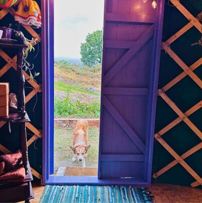Room-a Magical Cosy Garden Yurt
