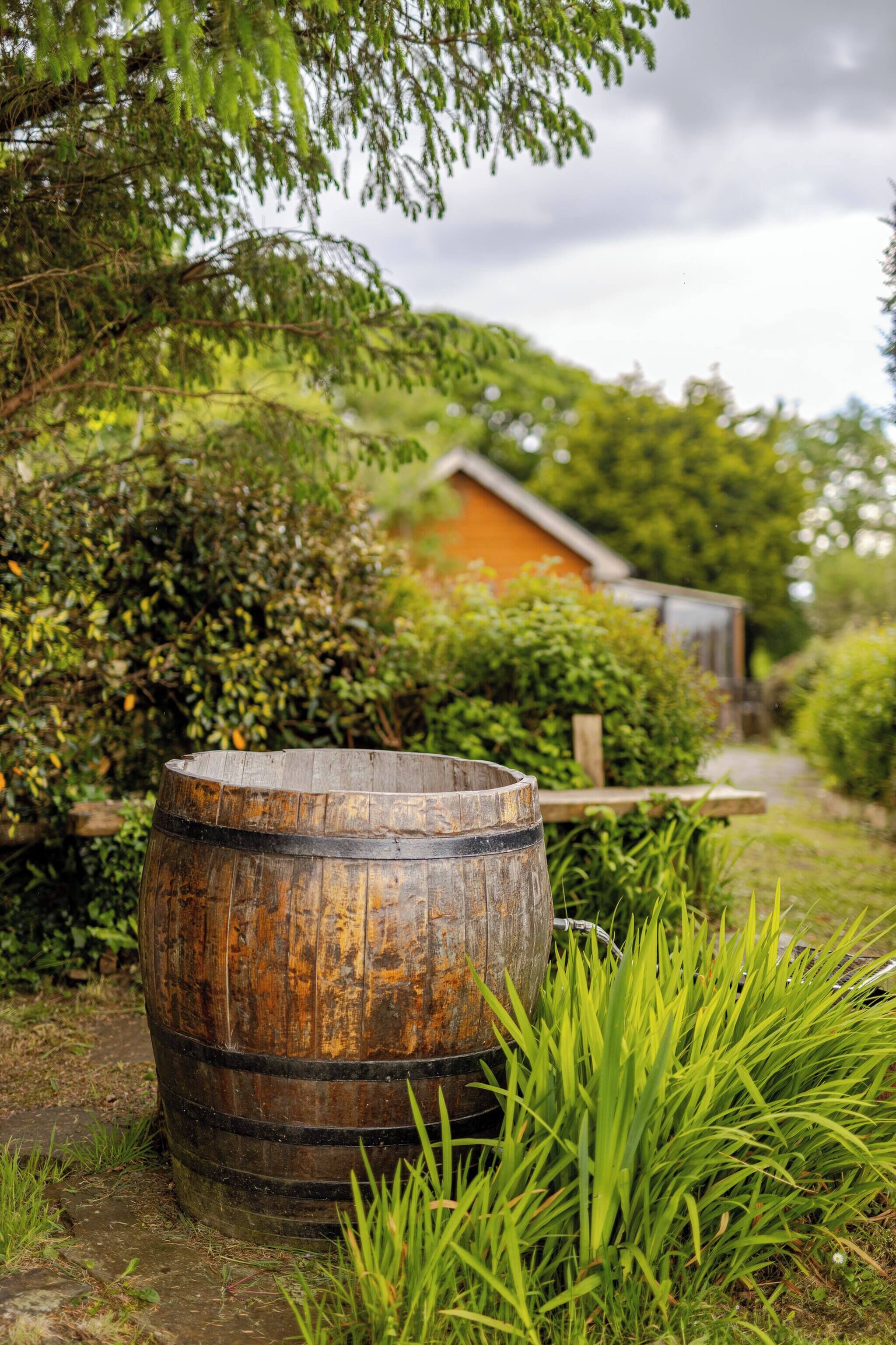 Cabin, Multiple Bedrooms, Smoking, Balcony | Property grounds