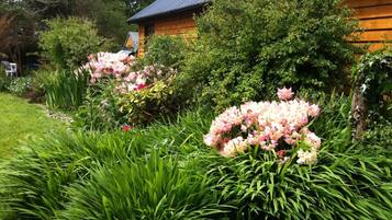 Cabin, Multiple Bedrooms, Smoking, Balcony | Garden