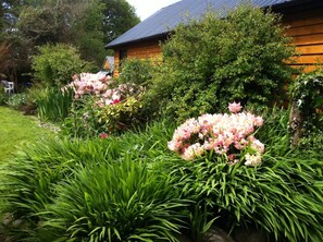 Cabane, plusieurs chambres, fumeurs, balcon | Jardin