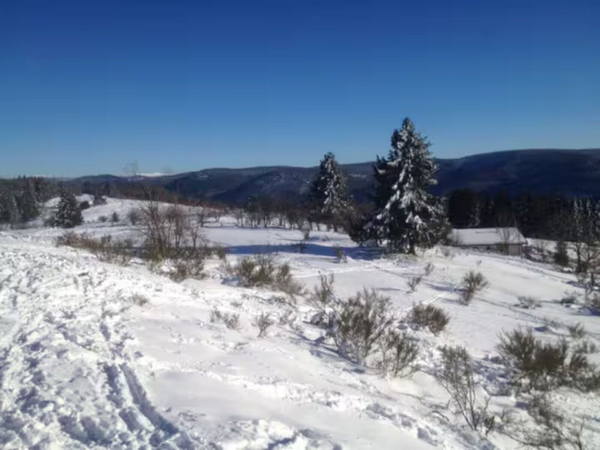 A snowy landscape with a clear sky, a few trees, and distant mountains.