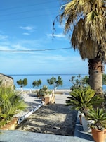 Un sendero de piedra que conduce a una playa con palmeras y plantas en macetas.