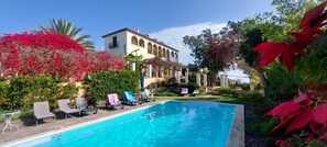 Outdoor pool - Cozy Studio in a fabulous Quinta with pool and sea view! (Funchal)