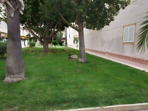 المنطقة المحيطة بالمنشأة