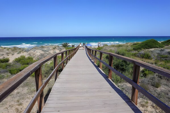 بالقرب من الشاطئ