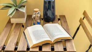 Um livro aberto sobre um banco de madeira, com um vaso de planta e uma garrafa ao lado.