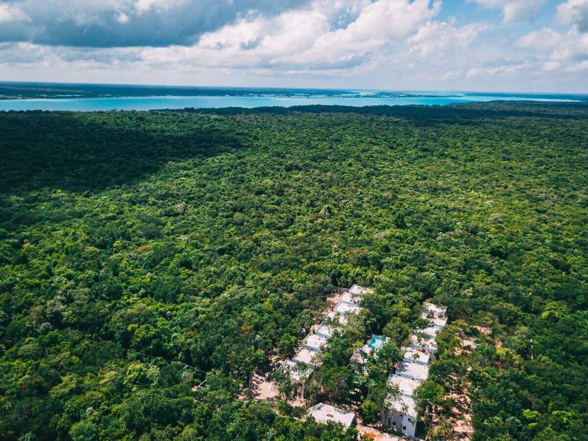 Une vue aérienne d’une forêt dense, où l’on distingue une zone rectangulaire bien définie qui semble être un complexe hôtelier ou un hôtel.