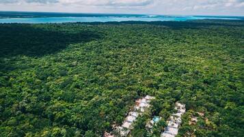 Une vue aérienne d’une forêt dense, où l’on distingue une zone rectangulaire bien définie qui semble être un complexe hôtelier ou un hôtel.
