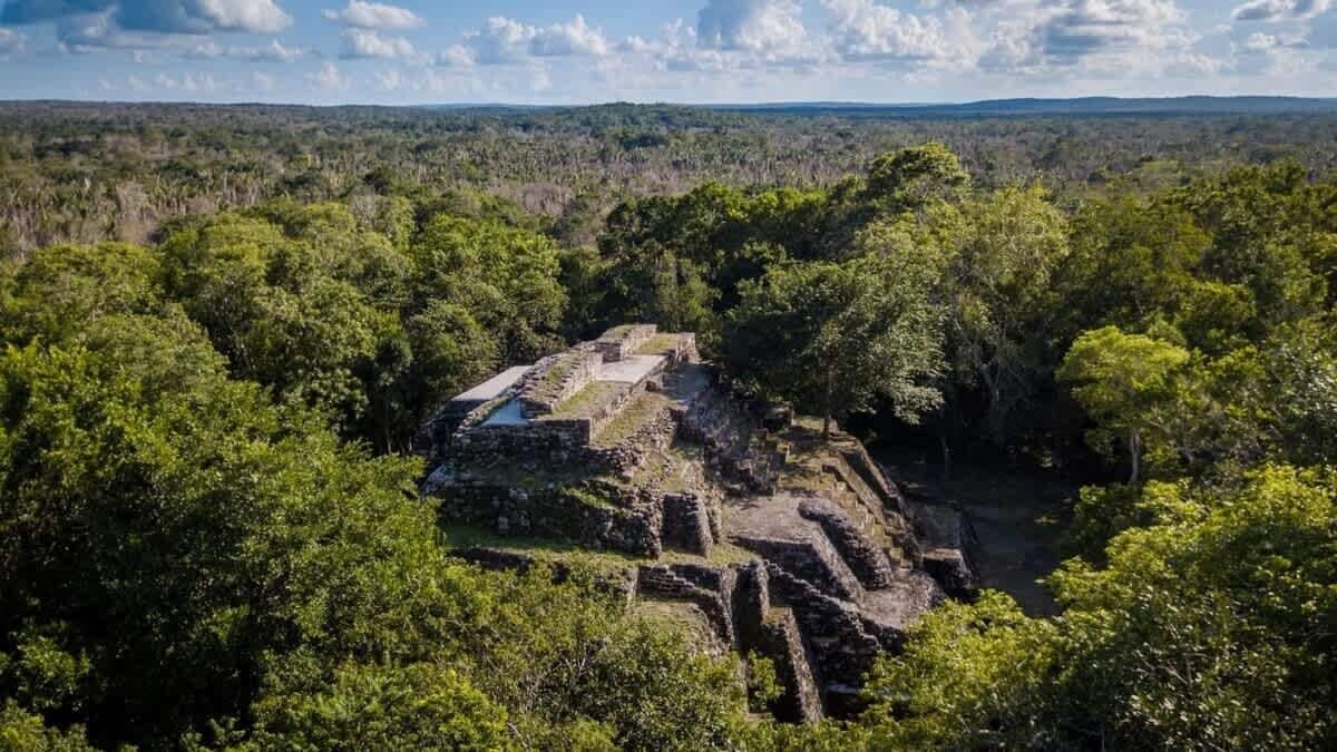 Une ruine antique, entourée d’une forêt dense.