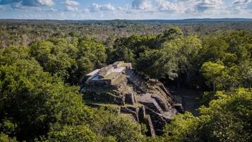 Une ruine antique, entourée d’une forêt dense.