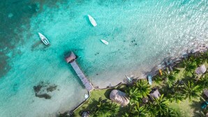 An aerial view of a beach with clear turquoise water, a wooden pier, and palm trees. - AQUA VIVA garden view, Pool, AC, Beach club (Bacalar)