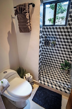 Shower, hair dryer, towels