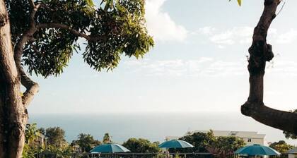 Creole bungalow with terrace and ocean view, Les Avirons