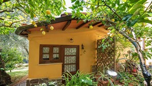 Une petite maison avec un toit en tuiles, une porte en bois et des fenêtres à vitraux décoratifs.