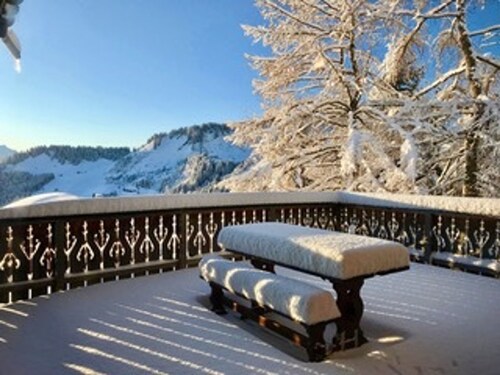 Spacious chalet for 14, 300 sqm, Wi-Fi