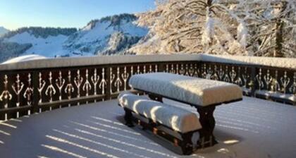 Spacious chalet for 14, 300 sqm, Wi-Fi