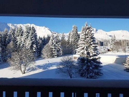 Gemütliche 2-Zimmer-Wohnung in Praz de Lys mit Parkplatz
