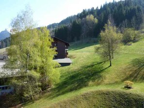 Property grounds - Charming 3-room apartment near Morzine center with view (Morzine)