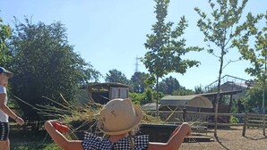 A child in a checkered dress and straw hat standing in front of a wheelbarrow on a straw-covered ground. - Agriturismo Sadira  (Calusco d'Adda)