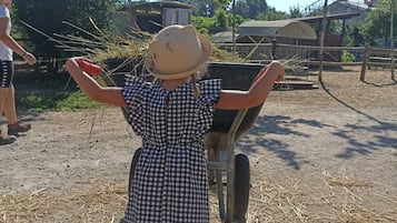 AktivitĂ€ten fĂŒr Kinder