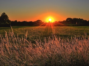 A sunset over a grassy field with trees in the background. - 4 Person Holiday Home in Tyreso (Tyreso)