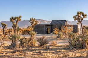 Exterior - The Moasis - 5 acre Modern w Pool & Spa (Yucca Valley)