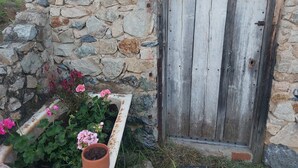 Un mur de pierres apparentes, avec une porte en bois et un jardinière.