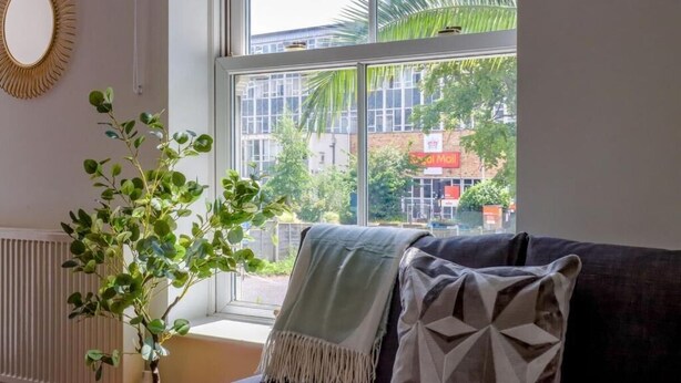 Une pièce avec une grande fenêtre, une plante en pot et un canapé recouvert d’un plaid.