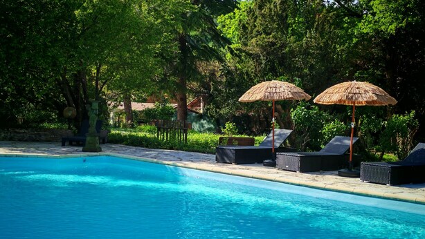 Une piscine entourée de verdure, agrémentée de chaises longues et de parasols en chaume.