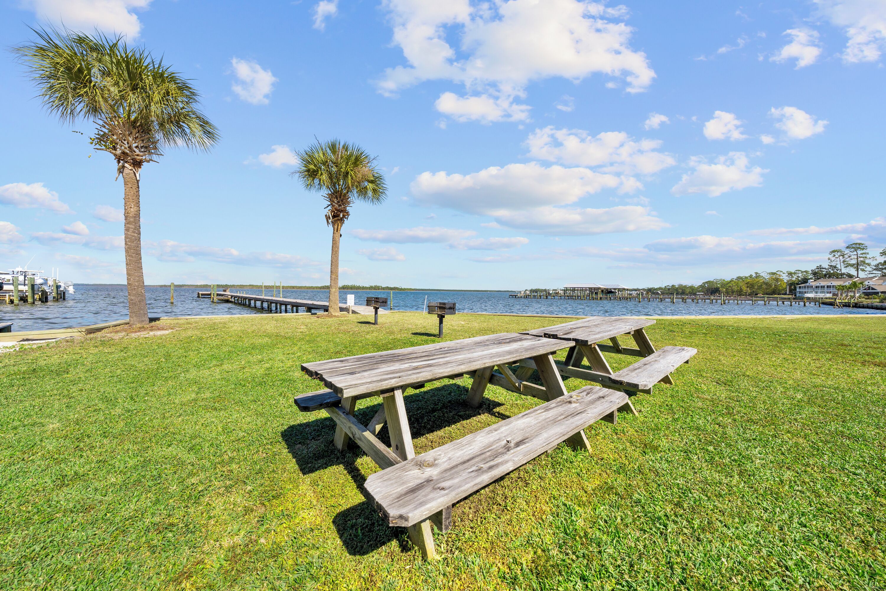 A grassy area with picnic tables and two palm trees by a body of water.