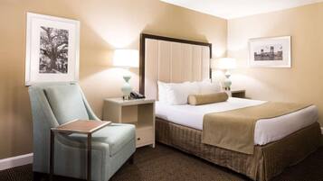 1 bedroom, desk, iron/ironing board, WiFi