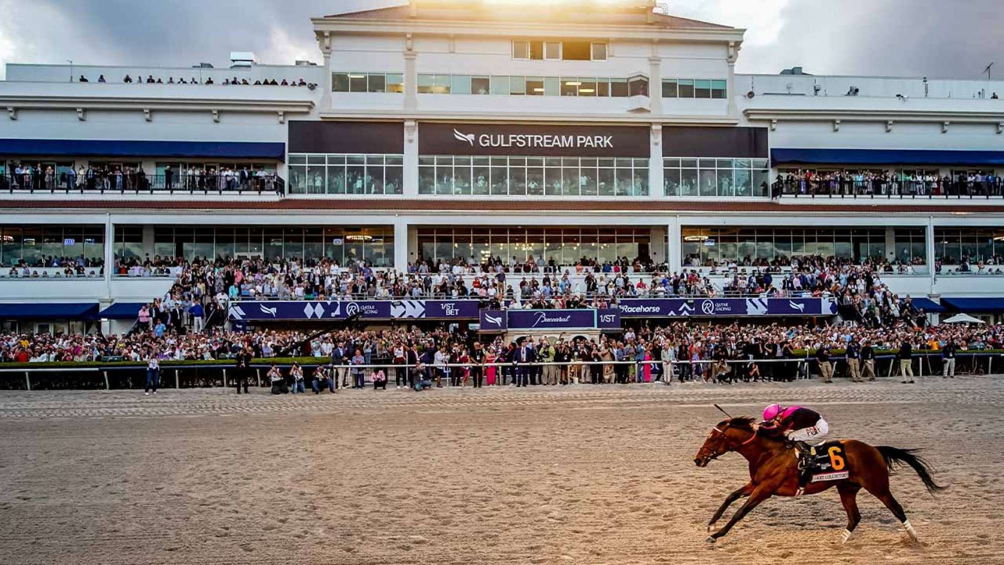Suuri yleisö on kokoontunut hevoskilparadalle, ja taustalla näkyy rakennus, jonka kyltissä lukee ”GULFSTREAM PARK”.