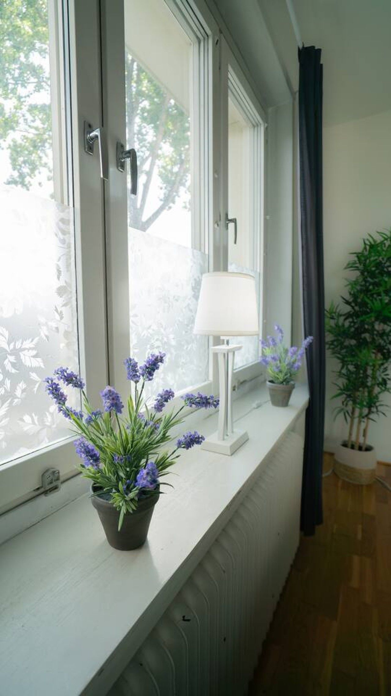 A window with a view of trees, a radiator, a lamp, and two potted plants on a windowsill.