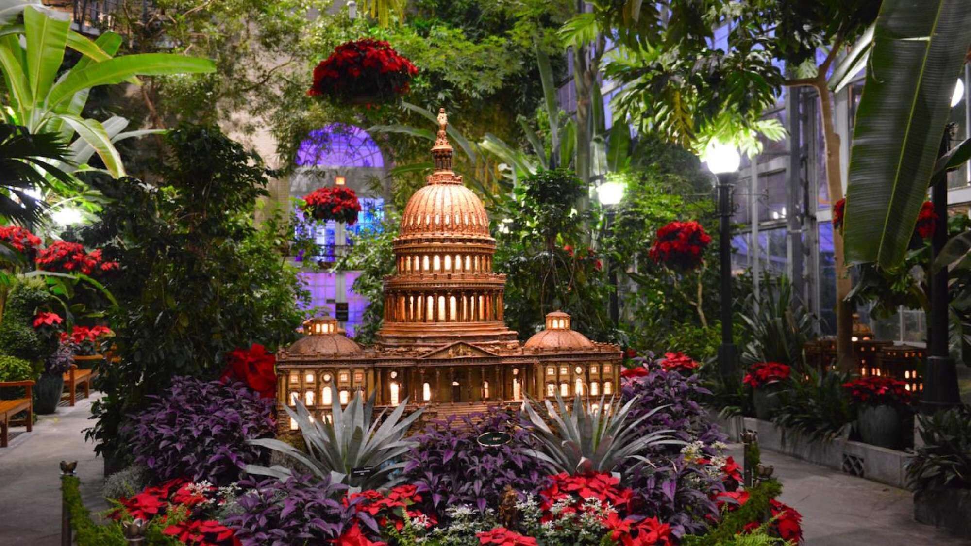 The Botanic Garden is an oasis of tropical gardens in the center of the city. Surrounded by outdoor gardens, the huge glasshouse is the hub of a museum of living plants.