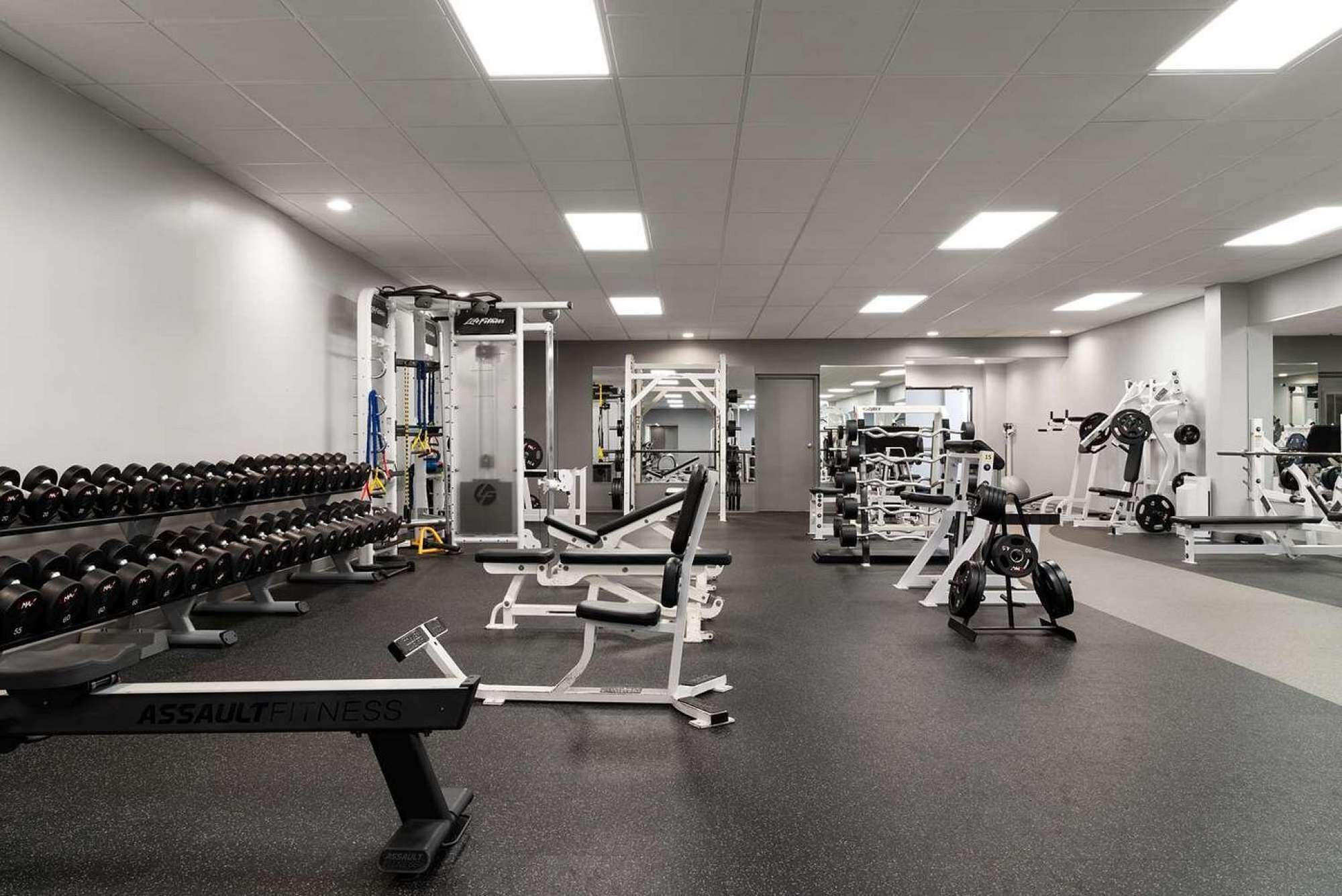 Un gimnasio con diverso equipo de ejercicio, como mancuernas, máquinas de pesas y una banca.