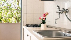 Une cuisine moderne équipée d’une cuisinière à gaz, d’un évier en acier inoxydable et d’une fenêtre donnant sur la verdure.