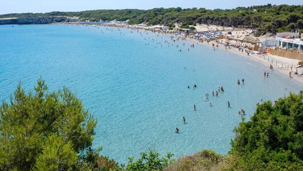 Une scène de plage côtière avec une eau bleue et limpide, des rivages sablonneux et une végétation luxuriante en arrière-plan.