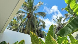 Un giardino tropicale con grandi foglie di banana, un muro bianco e un lavandino bianco.