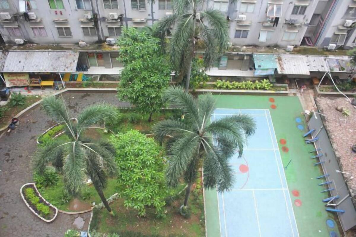 A courtyard with a basketball court, palm trees, and a small garden area.