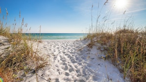 Un sentier de sable qui longe la plage et mène à l’océan, avec de hautes herbes de chaque côté.