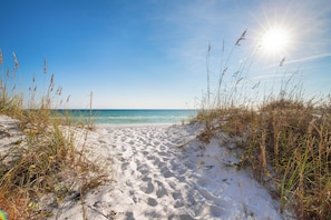 Un sentier de sable qui longe la plage et mène à l’océan, avec de hautes herbes de chaque côté.
