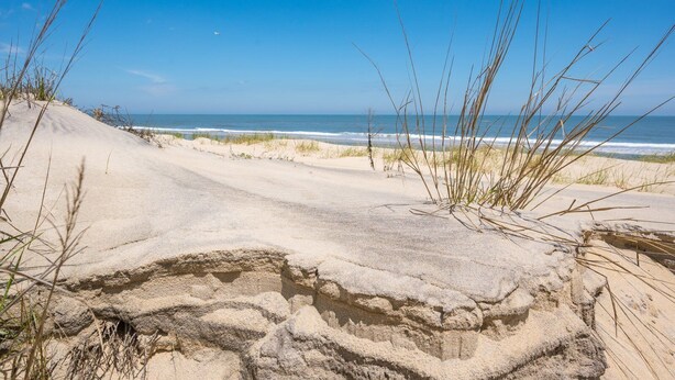 Una playa arenosa con dunas y vegetación escasa.