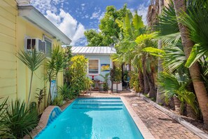 Pool - Old Town Studio Cottage with Full Kitchen, In-Unit Laundry & Shared Pool (Key West)