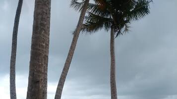 Căn hộ, 2 phòng ngủ, phù hợp cho người khuyết tật, hút thuốc | Bãi biển