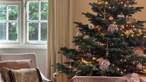 Ein gemütliches Wohnzimmer mit Weihnachtsbaum, einem fenster mit Vorhängen und einem Ledersofa.