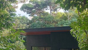 A modern building with large windows, surrounded by lush greenery and trees. - "bosquelago" Houserental (Tronadora)