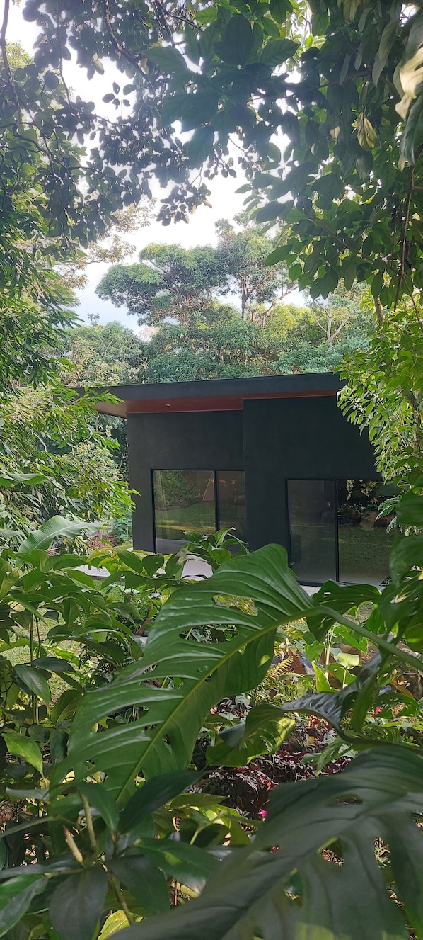 House, 1 Bedroom, Patio, Garden View | Garden - "bosquelago" Houserental (Tronadora)