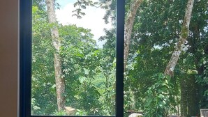 A kitchen with a window overlooking a dense forest. - "bosquelago" Houserental (Tronadora)